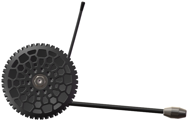 美女的隐藏部位是什么图片