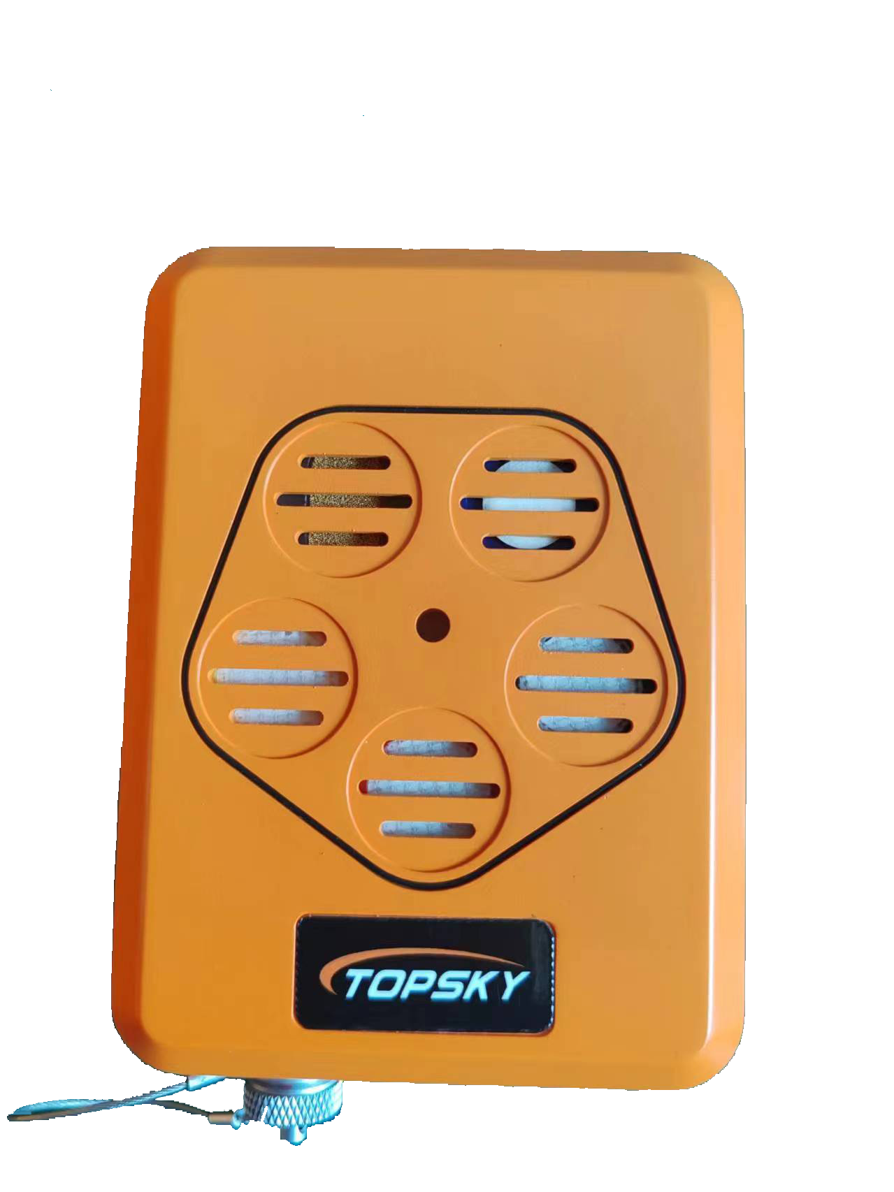 美女的隐藏部位是什么图片