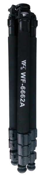 美女的隐藏部位是什么图片