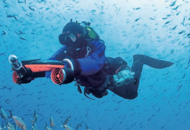美女的隐藏部位是什么图片