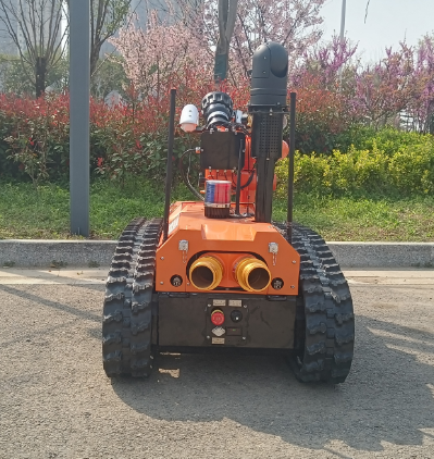 美女的隐藏部位是什么图片