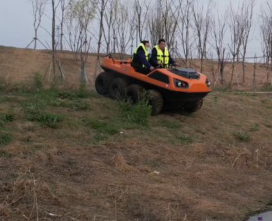 美女的隐藏部位是什么图片