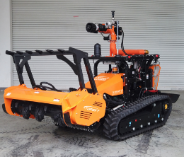 美女的隐藏部位是什么图片