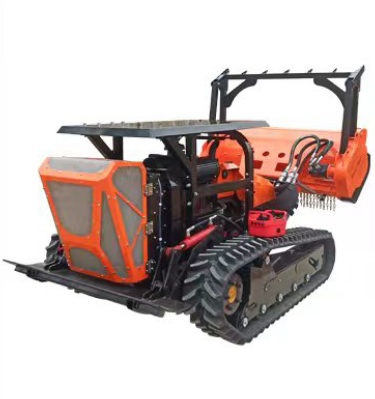 美女的隐藏部位是什么图片