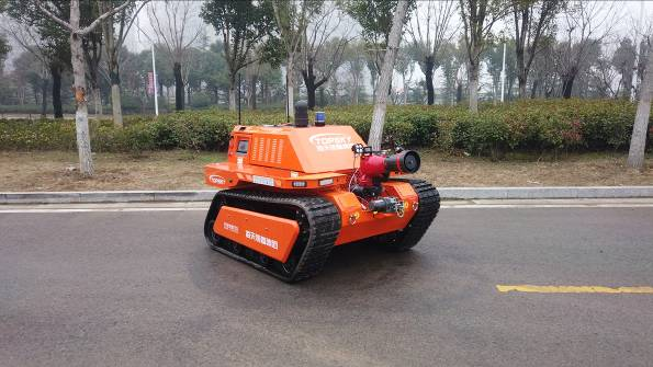 美女的隐藏部位是什么图片