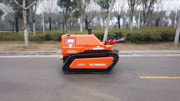 美女的隐藏部位是什么图片