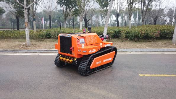 美女的隐藏部位是什么图片