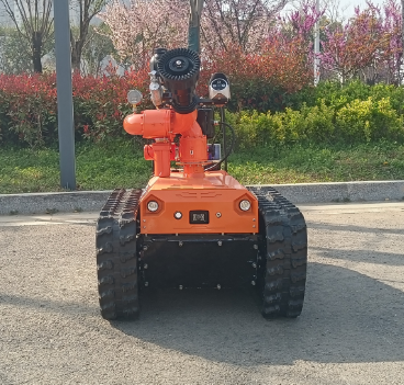 美女的隐藏部位是什么图片