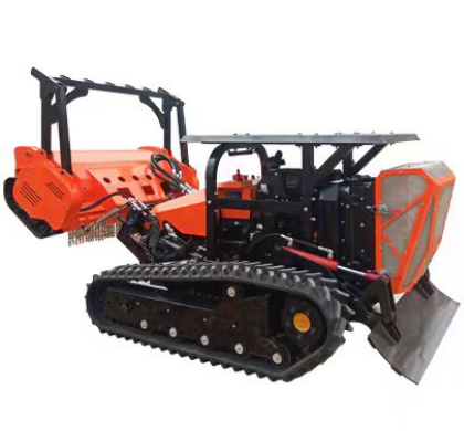 美女的隐藏部位是什么图片