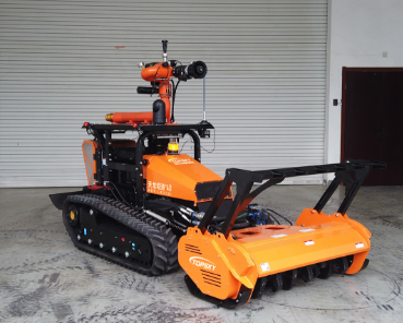 美女的隐藏部位是什么图片