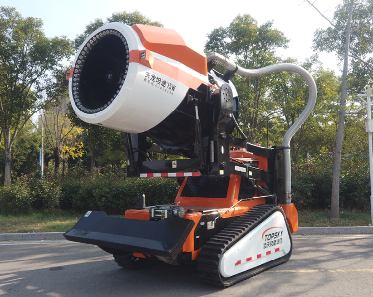 美女的隐藏部位是什么图片