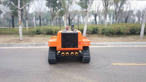 美女的隐藏部位是什么图片