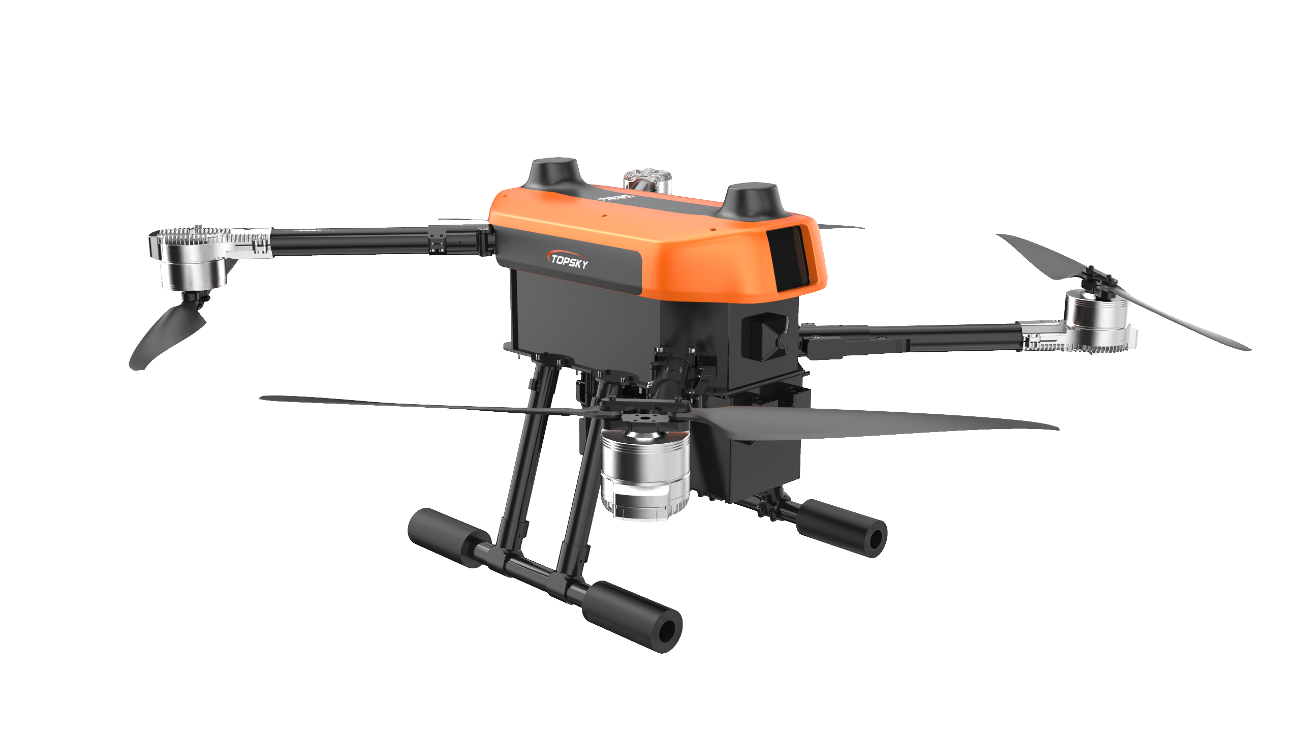 美女的隐藏部位是什么图片