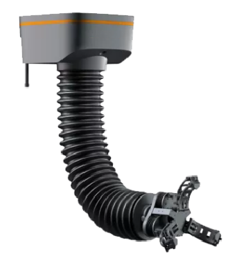 美女的隐藏部位是什么图片