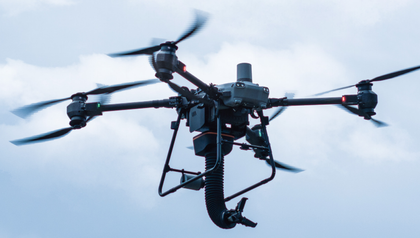 美女的隐藏部位是什么图片