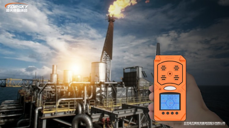 1736839918271234.jpg 15.CD4防爆无线复合气体检测仪第4代.jpg