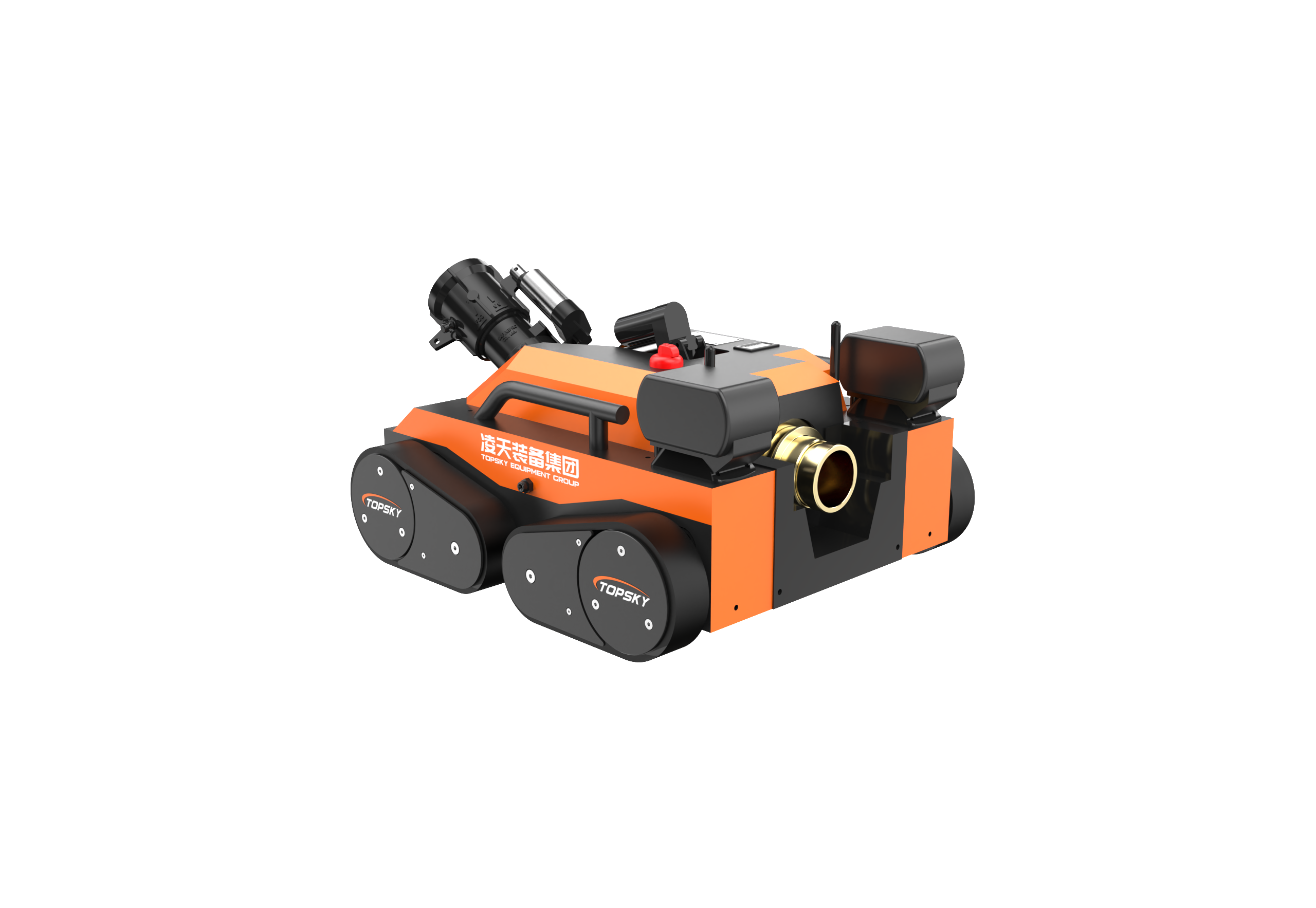 美女的隐藏部位是什么图片