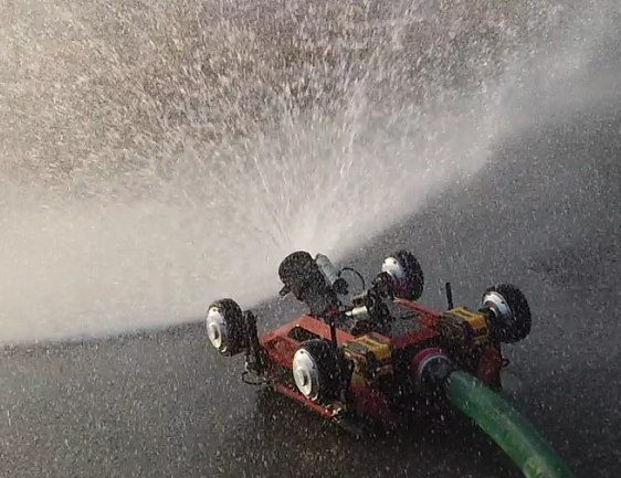 美女的隐藏部位是什么图片