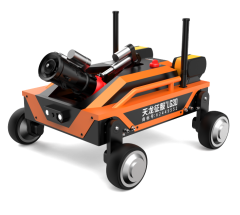 美女的隐藏部位是什么图片