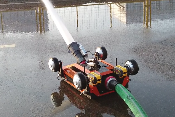 美女的隐藏部位是什么图片