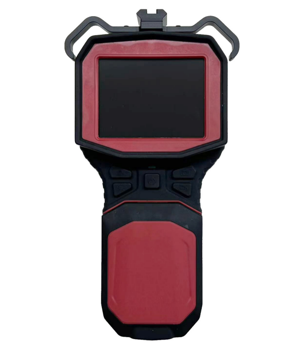 美女的隐藏部位是什么图片