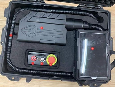 美女的隐藏部位是什么图片