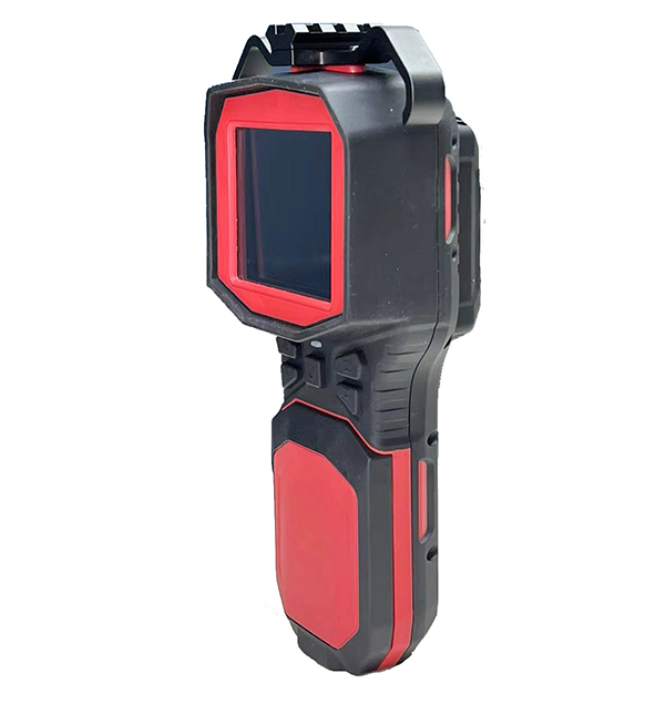 美女的隐藏部位是什么图片