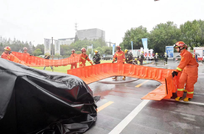 美女的隐藏部位是什么图片