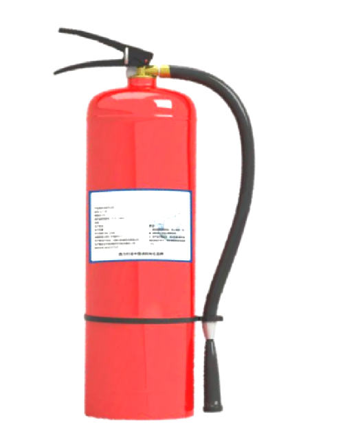 美女的隐藏部位是什么图片