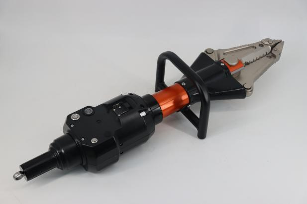 美女的隐藏部位是什么图片