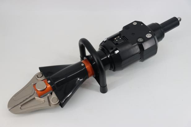 美女的隐藏部位是什么图片