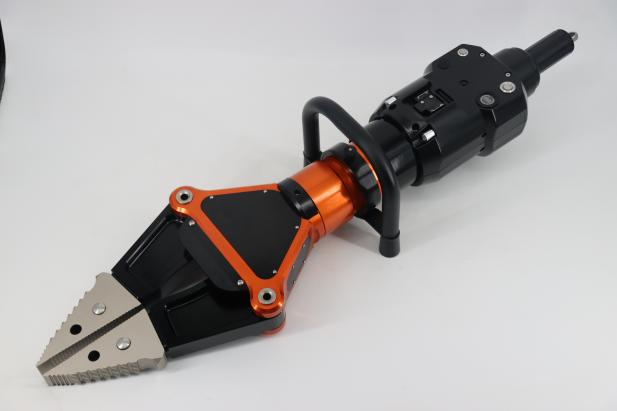 美女的隐藏部位是什么图片