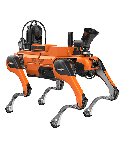 美女的隐藏部位是什么图片