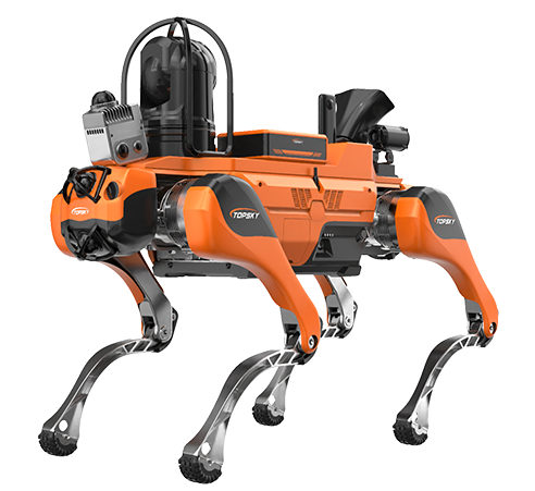 美女的隐藏部位是什么图片