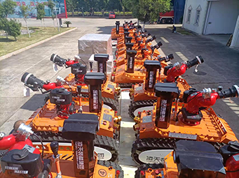 美女的隐藏部位是什么图片