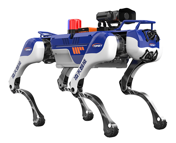 美女的隐藏部位是什么图片