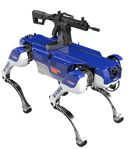 美女的隐藏部位是什么图片