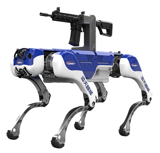 美女的隐藏部位是什么图片