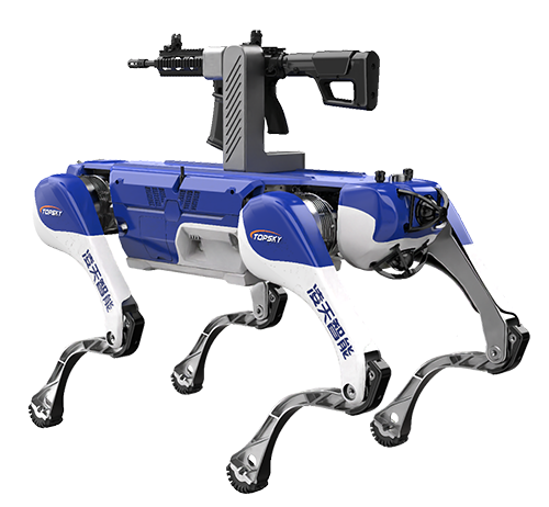 美女的隐藏部位是什么图片