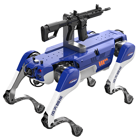 美女的隐藏部位是什么图片