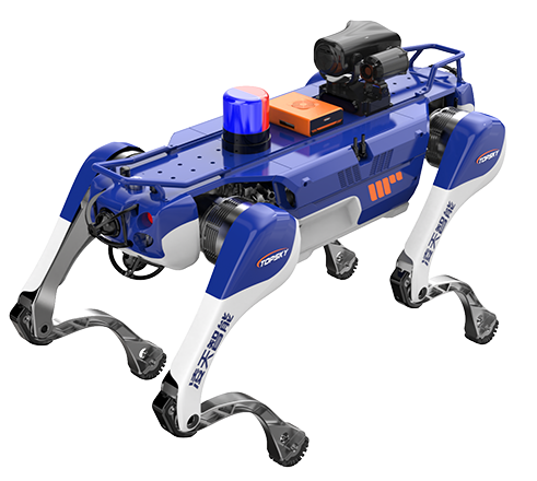 美女的隐藏部位是什么图片