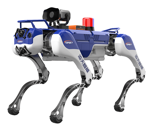 美女的隐藏部位是什么图片