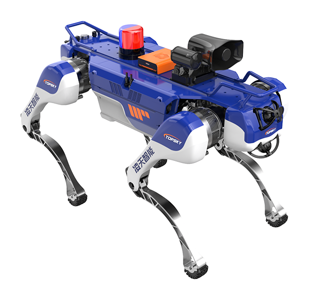 美女的隐藏部位是什么图片