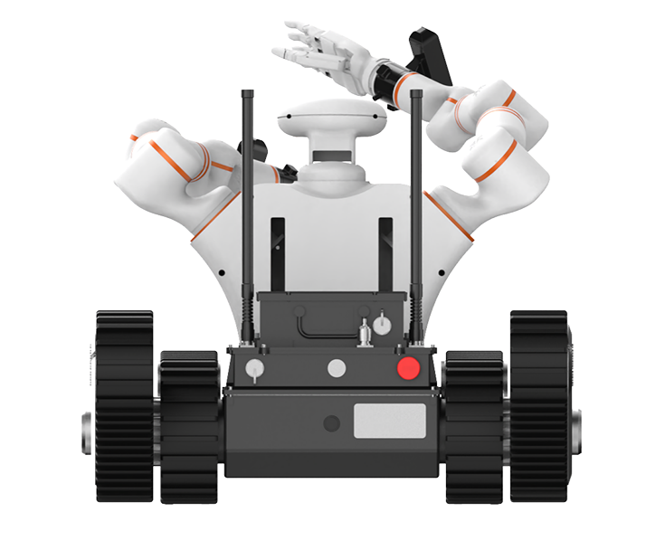 美女的隐藏部位是什么图片