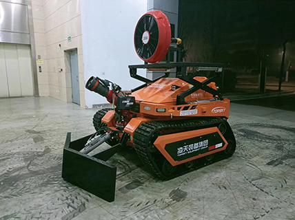 美女的隐藏部位是什么图片