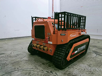 美女的隐藏部位是什么图片