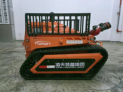 美女的隐藏部位是什么图片