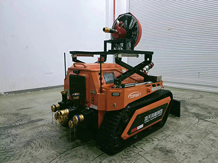 美女的隐藏部位是什么图片