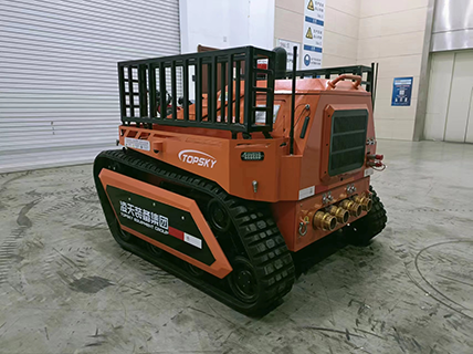 美女的隐藏部位是什么图片