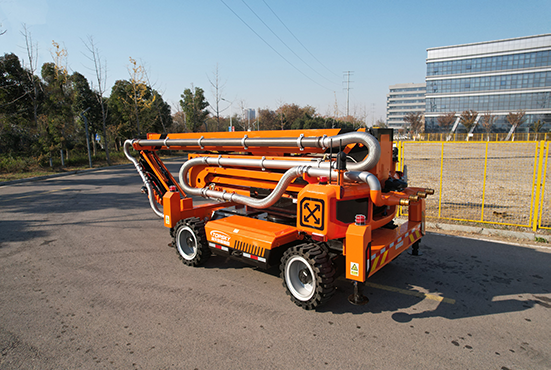 美女的隐藏部位是什么图片